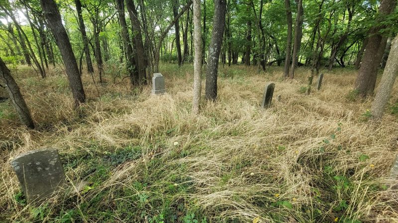 Unknown Cemetery – Lawrence County, Missouri 
 Only a small section was mowed an…