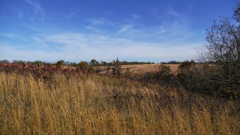 Robert Talbot Conservation Area – Missouri