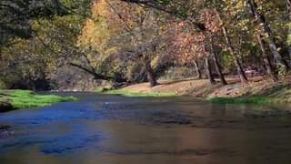 Capps Creek – Missouri