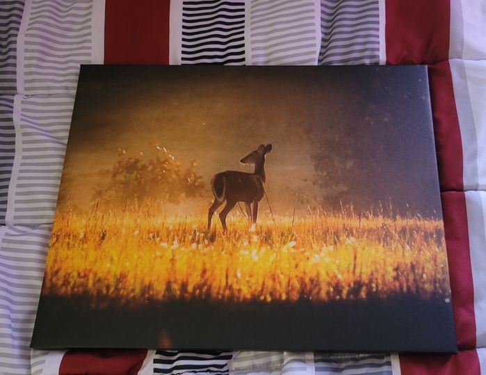 Just received my canvas print from Crystal Roberts Pinson! Wow I love this shot!