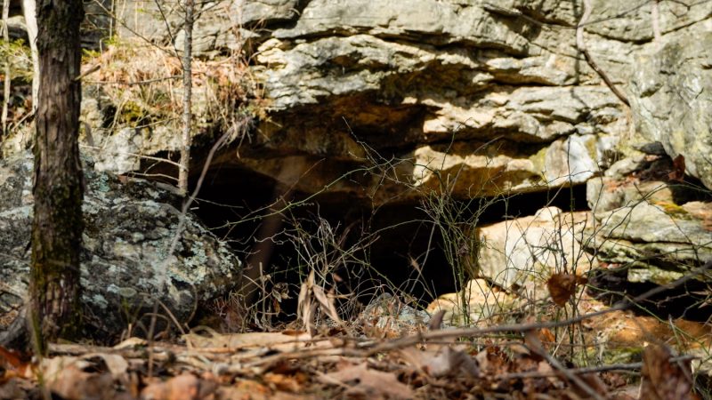 Old Cave & Zinc Mine – Zinc, Arkansas