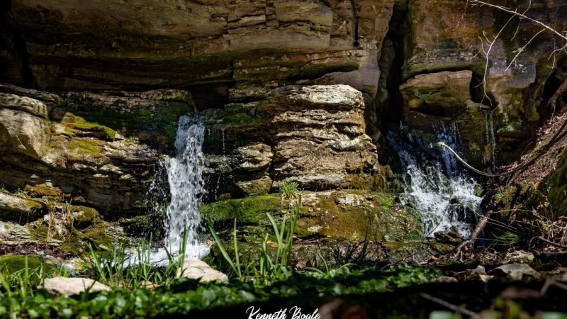 Medicine Spring – Stone County, Missouri