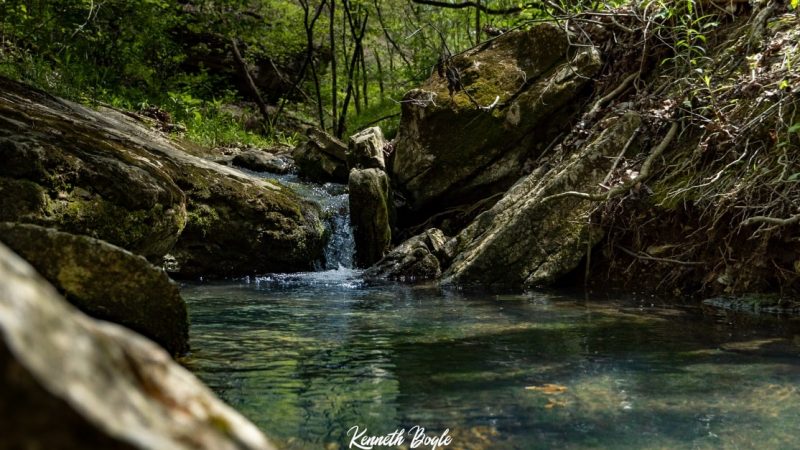 Cave & Spring – Arkansas