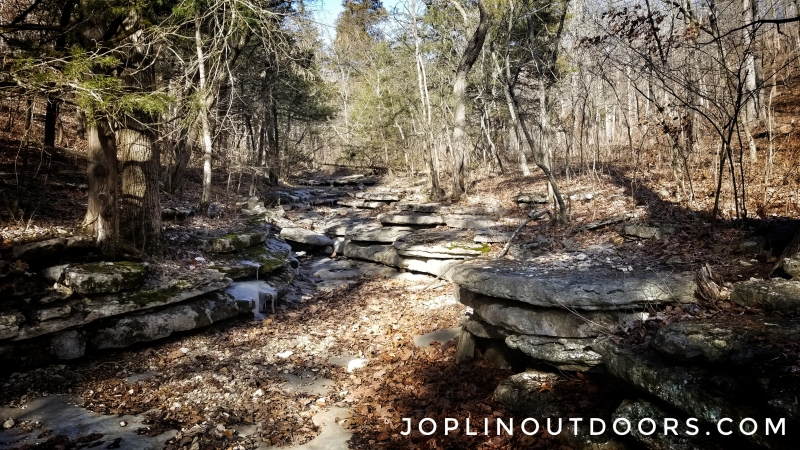 Chinquapin Trail Group Hike – January 4th, 2020 [ Event ]