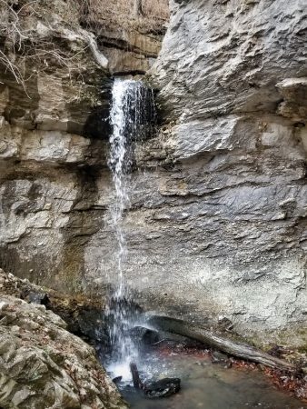 Armadillo Falls Hike – November 2019 [ Gallery ]