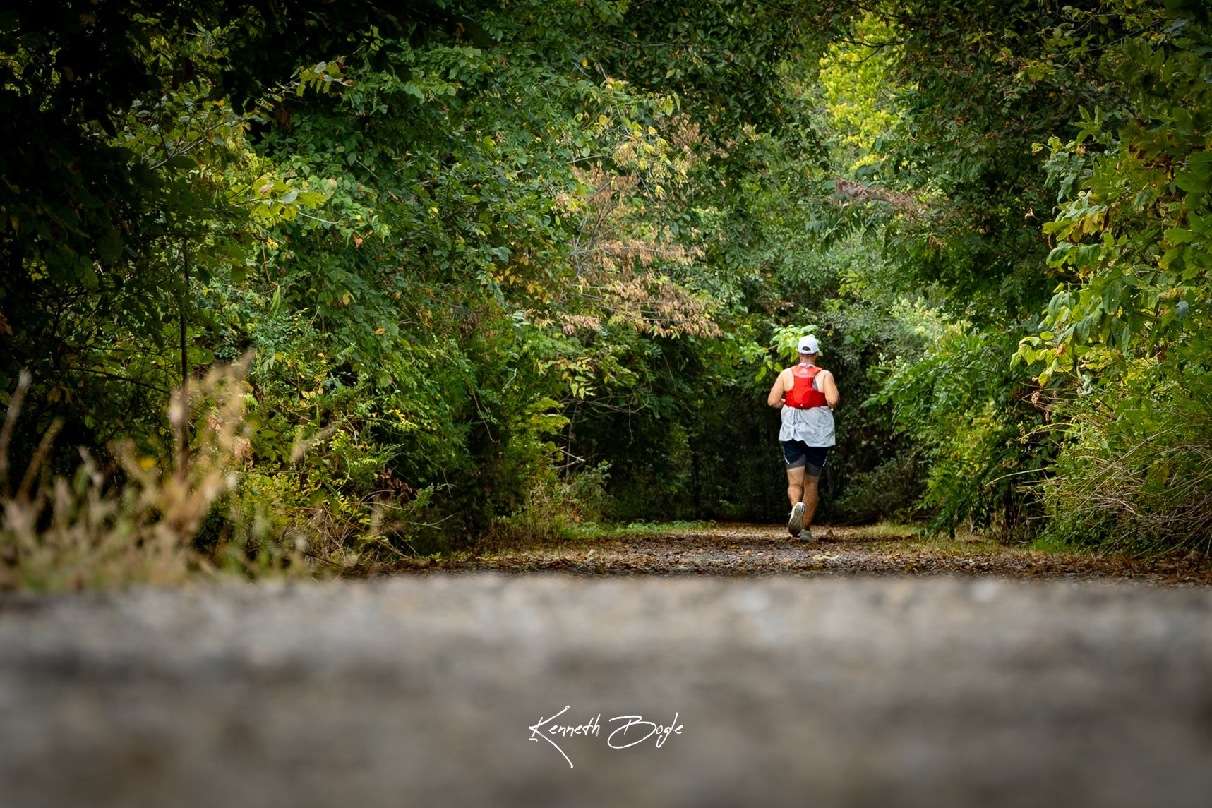 Runner on the wooded Frisco Trail