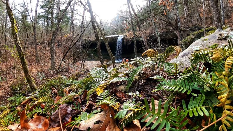 First of the year Waterfall Hike [ January 1st, 2021]